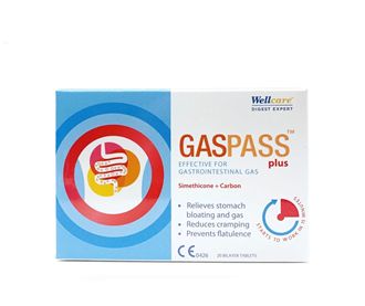 Wellcare Gaspass Plus 20 таблеток